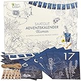 OwnGrown Blume Adventskalender 2024 - Nachhaltig Weihnachtskalender Satz - Pflanzensamen...