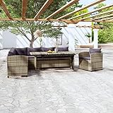 QJBSAVVA 3-TLG Garten-Lounge-Set Poly Rattan Grau 230x175 cm ausziehbarer Tisch Robustes...