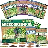 ZenGreens® - Bio Sprossensamen im 10er Set - Keimsprossensamen - für leichte Zucht im...