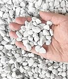 30 QT professioneller Bio-Perlit für den Gartenbau (30 QT, große Größe – Perlit)