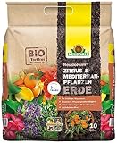 Neudorff NeudoHum Zitrus & MediterranpflanzenErde für gesunde und leckere Früchte wie...
