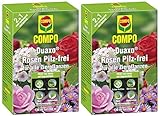 Compo Duaxo Rosen Pilz-Frei, Bekämpfung von Pilzkrankheiten an Allen...