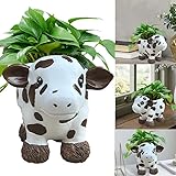 Kuh Geschenke für Kuhliebhaber Highland Cow Töpfe Für Pflanzen Kuh...