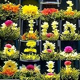 Set Mit 16 Originalen Handgemachten Bio Teebällchen Mit Blühenden Blumen Ohne...