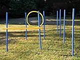 Agility Set für Hunde, Slalomstangen, Hürde und Jumpring, Hundetraining für...