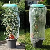 tomgarten Tomatenhut Starter-Set | 9 TLG.
