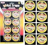 16Pcs Ameisenköderdose,Ameisenfalle,Ameisenköder,Ungiftige Klebefalle zur...