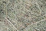 naturling Heu 70x50x30cm - ca 12kg Heuballen frisches Wiesenheu Sonnen...