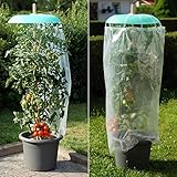 tomgarten Tomatenhut Starter Set | 3 TLG.