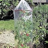 Novatool 3X Tomatenreifehaube Abstandsringen gelocht I Ø 65 x H 130 cm |...