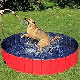lionto Faltbarer Hundepool Schwimmbecken für Hunde Hundebad, Kinderpool (L) 160cm, Höhe...