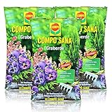 3x Compo Sana Graberde 20 Liter - Dekorative, tiefschwarze Optik - Blumenerde