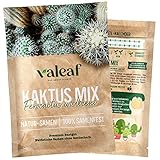 valeaf Kaktus Samen I bunter Kaktussamen Mix I Kakteen Samen als Zimmerpflanzen Samen I...