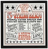 Ernie Ball Light 5-Saiten Loop End Stainless Steel Banjo-Saiten, Stärke 9-9