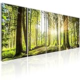 murando Akustikbild Wald Bilder Akustikschaum Hochleistungsschallabsorber Schallschutz...