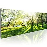 murando Akustikbild Bilder Akustikschaum Hochleistungsschallabsorber Schallschutz Leinwand...